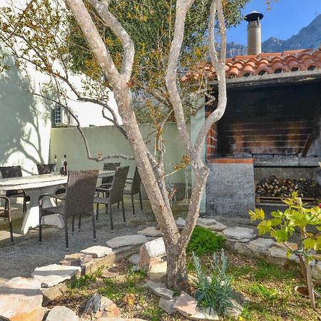 Villa Jelena ماكارسكا المظهر الخارجي الصورة